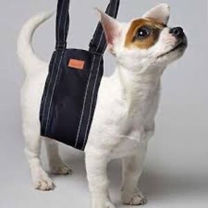 Loobani Portable Walking Support Lift Belt/Sling Harness For Dogs

🐾NWOT